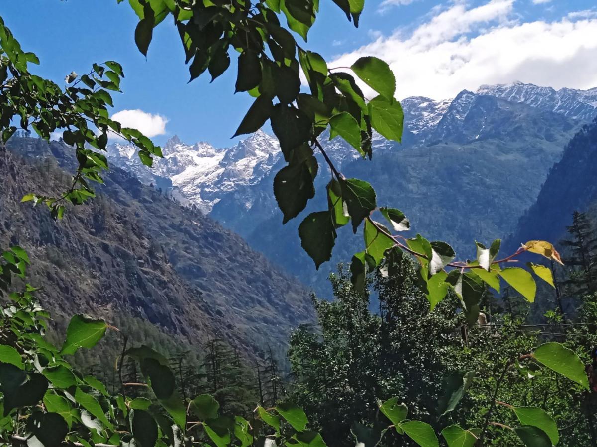 Kasol View Hotel Exterior foto